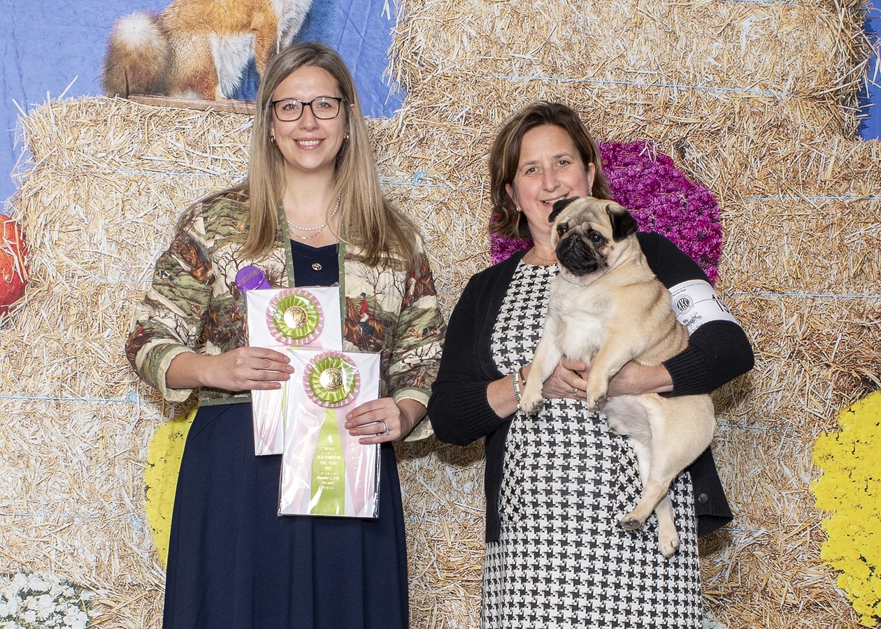 Judging Pug sweepstakes