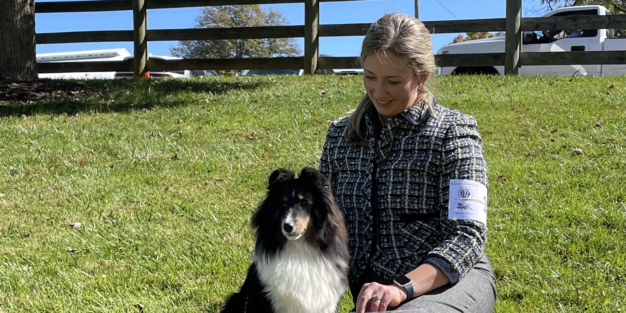 A Clermont dog at a show