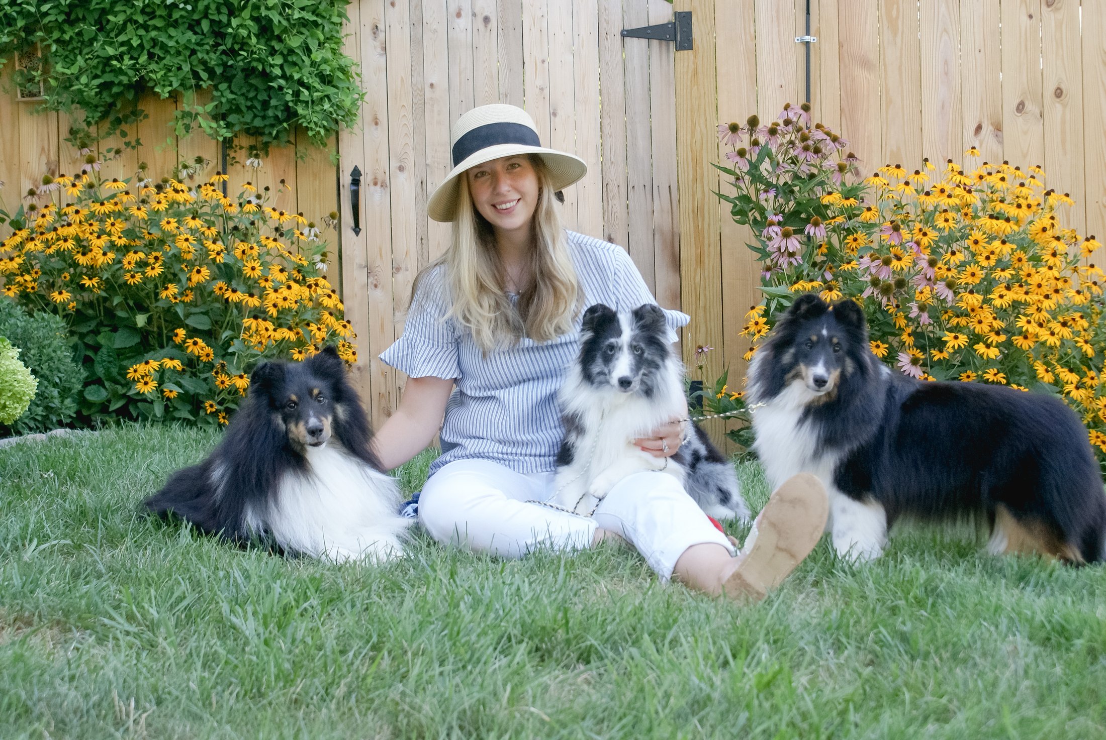 Natalie with her three Shelties among summer flowers