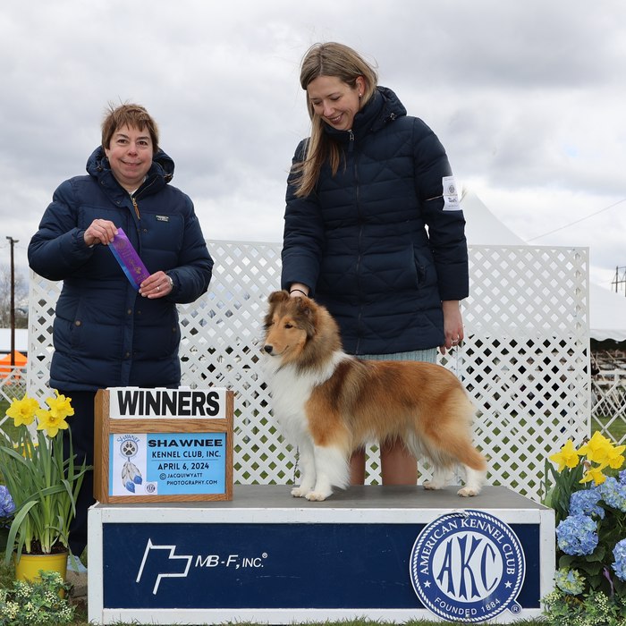 Josie — Winners