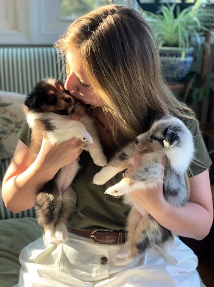 Natalie with two Sheltie girl puppies